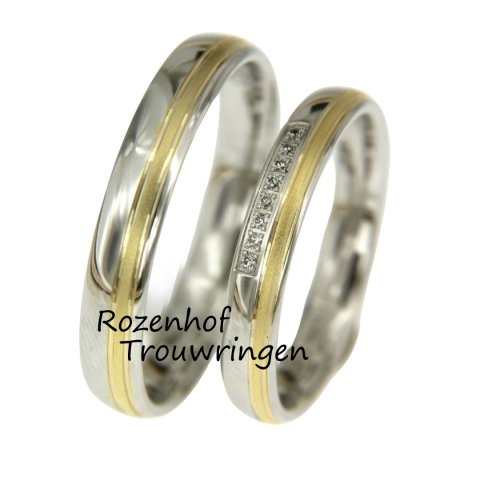 Stijlvolle bicolor trouwringen set met subtiele lijnen (15935-15936)