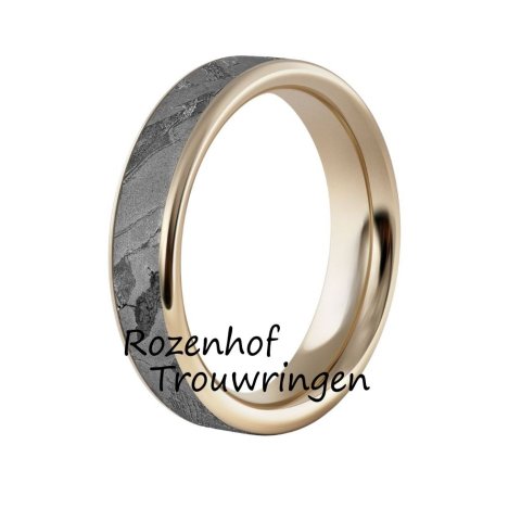 Stoere herenring met meteoriet (2560)