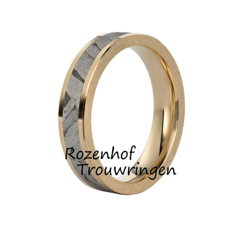 Moderne herenring met meteoriet en geelgoud (2564)